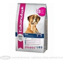 Eukanuba Boxer 2 x 12 kg