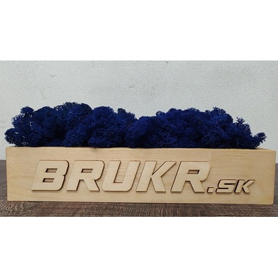 Stabilizovaný mach - Nórsky lišajník - modrý ( Blue ) 4kg
