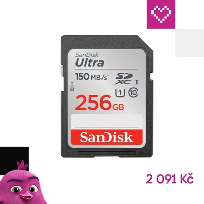 SanDisk SDXC Class 10 256 GB SDSDUNC-256G-GN6IN