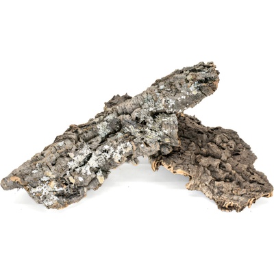 Invital Prírodná korková doska M 30-50 cm