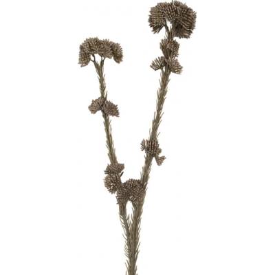 Clayre & Eef Umělá květina šedá – 6x6x58 cm