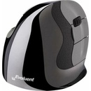 Evoluent Wireless VerticalMouse D VMDSW