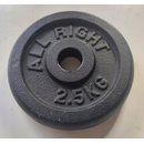 Spokey Litinový kotouč SINIS 2,5 kg 29mm