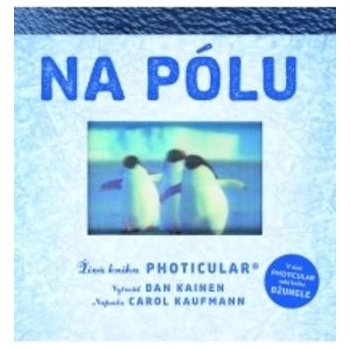 Na pólu