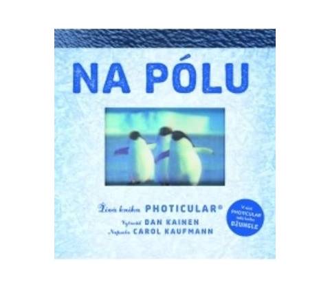 Na pólu