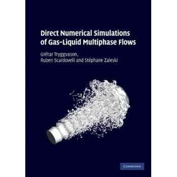 Direct Numerical Simulations of Gas-Liquid Multiphase Flows | Gretar Tryggvason