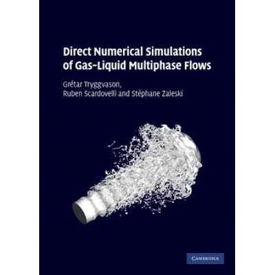 Direct Numerical Simulations of Gas-Liquid Multiphase Flows | Gretar Tryggvason