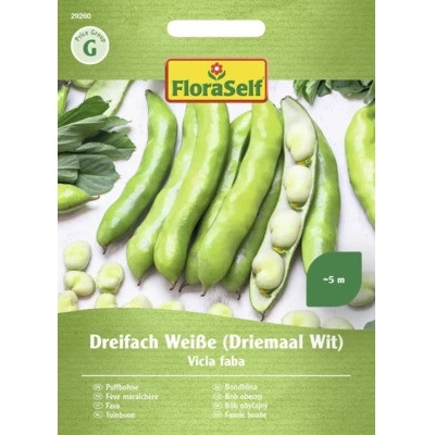 Bob obecný Dreifach Weiße FloraSelf