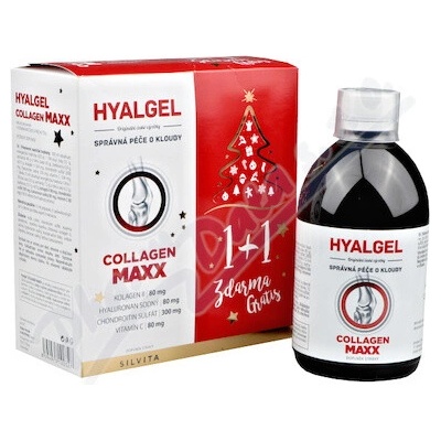 Hyalgel Collagen Maxx Vianočné balenie tekutý prípravok s pomarančovou príchuťou 2 x 500 ml