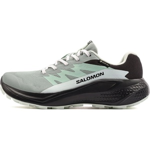 Salomon Alphaglide Gore-Tex (29938)