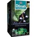 Dilmah Černý čaj Černý rybíz 20 x 2 g