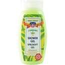 Palacio konopný vlasový šampón 250 ml