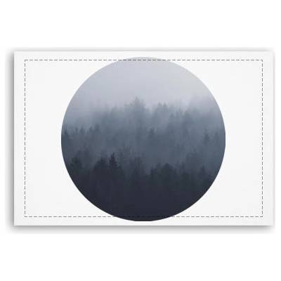 Fotoobraz 90x60 cm střední Forest in the fog