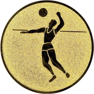 0338 Emblém volejbal