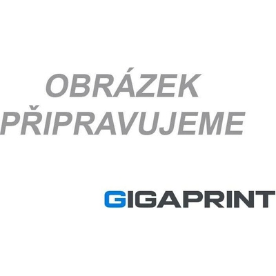 Atrament Canon GI-43BK - originálny