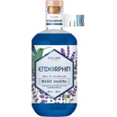Endorphin Magic imaGINe 43% 0,5 l (holá láhev)