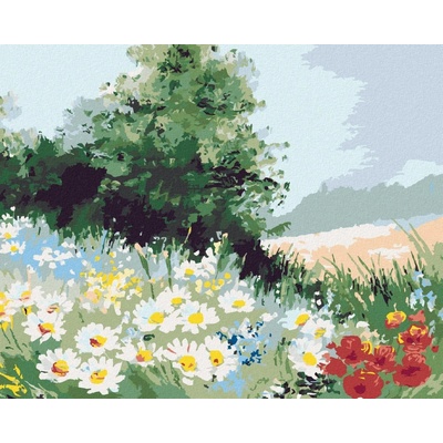zuty Malování podle čísel Sedmikráskové pole 80 x 100 cm bez rám u a bez vypnutí plátna 8596530055020