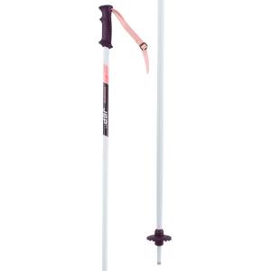 Arcore Jsp 4.1 100