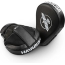 Hayabusa PTS3