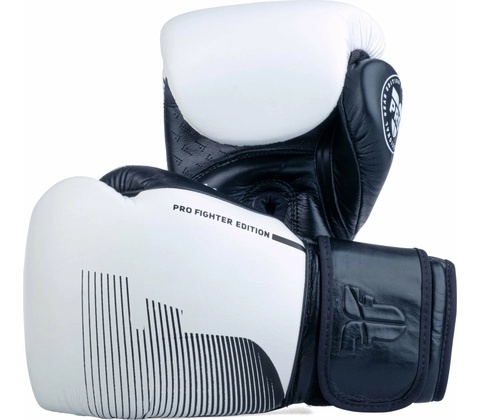 Fighter PRO