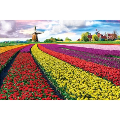 EUROGRAPHICS - Puzzle Tulip Fields - 1 000 piese