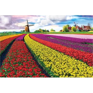 EUROGRAPHICS - Puzzle Tulip Fields - 1 000 piese