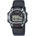 Casio W-220HF-8AVEF