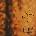 Prince - The Gold Experience (Digipak) (CD) (0194399359525)