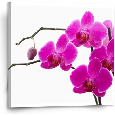 Sablio Obraz Fialové orchideje - 110x110 cm