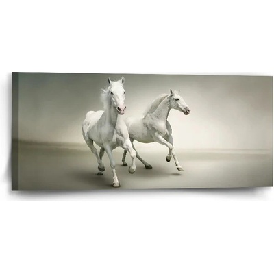 Sablio Obraz Dva biele koňe - 110x50 cm