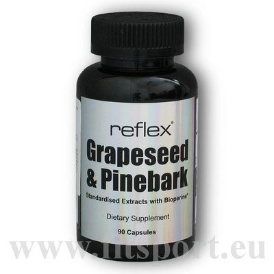 Reflex Nutrition Omega 3 1000 mg 90 kapslí AKCE