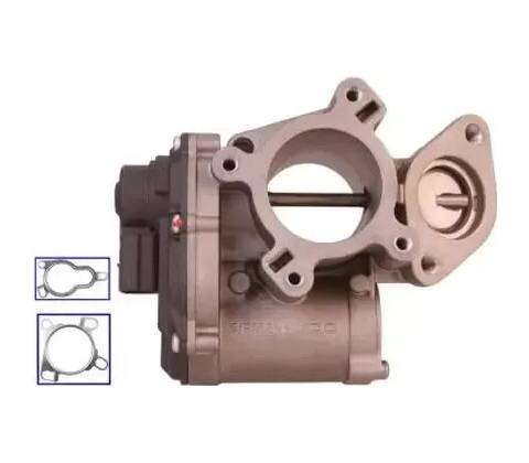 QWP AGR ventil QWP WEG165