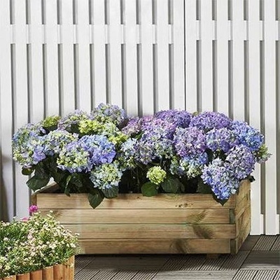 Vyvýšený záhon (S7231) Lanit Plast Potting8 š. 80 × h. 40 × 27 cm