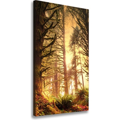 Vertikálny foto obraz na plátne Dažďový prales 50x100 cm