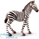 Figúrky a zvieratká Collecta Zebra