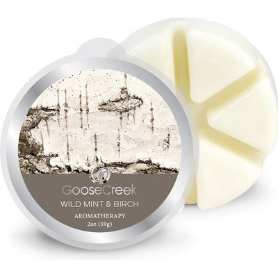 Goose Creek Candle Vonný Vosk Wild Mint & Birch 59 g – Zboží Dáma
