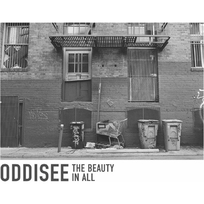The Beauty in all Oddisee LP