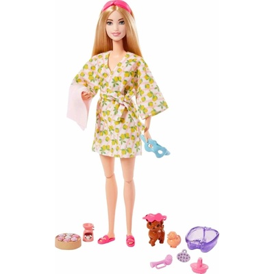 Mattel Barbie Deň relaxácie v spa so psíkom HKT90