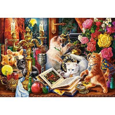 Castorland Wizard Kittens 1000 dielov