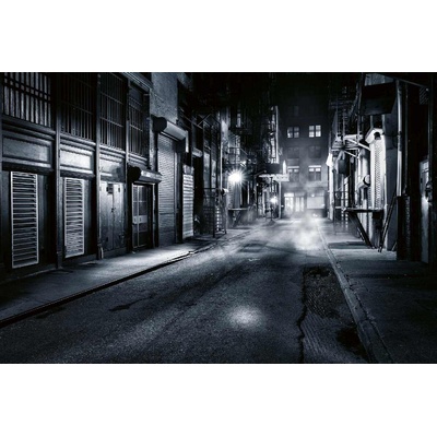 DIMEX ART Флизелинов фототапет китайски квартал 375 x 250 см