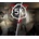 SCP: 5K