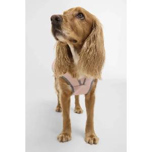 Barbour Кучешки дъждобран Evie Waterproof (DCO0082PI51)
