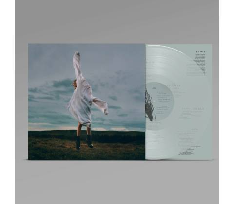 Deary - Birding LP