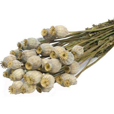 Makovice natural 150 gr.