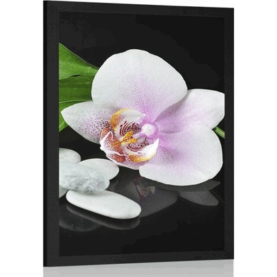 Plakát zen kameny a orchidej - 40x60 no frame