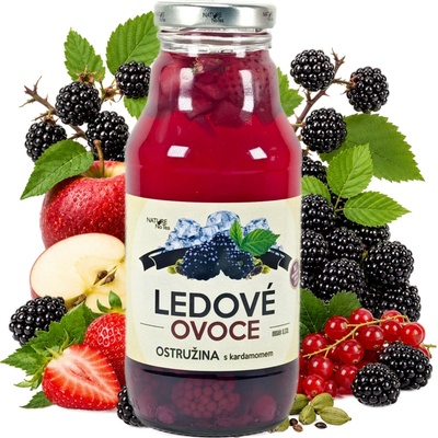 Nature Notea Ledové ovoce Ostružina s kardamonem 330 ml