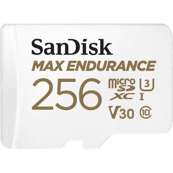 SanDisk microSDHC 256 GB SDSQQVR-256G-GN6IA