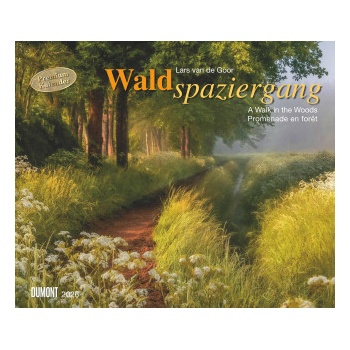 Image 1 of Neumann Verlage GmbH & Co Waldspaziergang 2026 - Fotokunst-Kalender - Querformat 60 x 50 cm - Spiralbindung | DUMONT Kalenderverlag GmbH & Co. KG, Lars Goor
