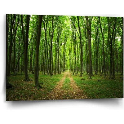 Sablio Obraz Cesta v lese - 90x60 cm