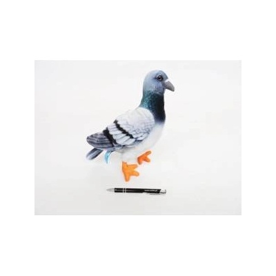 Dubi Blue pigeon 30cm